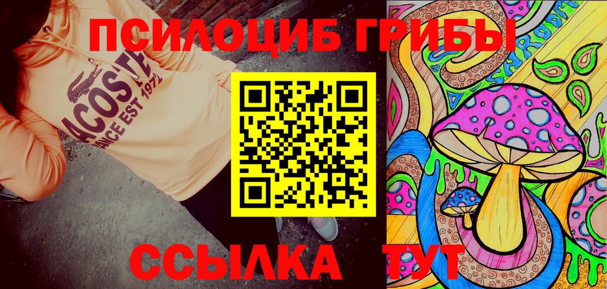 Галлюциногенные грибы Cubensis Сланцы